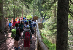 Inaugurazione del Sentiero Marciò - Parco Naturale Paneveggio Pale di S. Martino, SportABILI Predazzo. IRIFOR Trentino (Trentino Alto Adige)