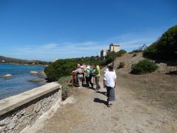 Asinara senza barriere - Ass. Atena Trekking Porto Torres, Parco Nazionale dell'Asinara, Comune di Porto Torres, Centro Recupero Animali Marini Asinara, Delcomar, Tech Dive Center I Sette Mari (Sardegna)