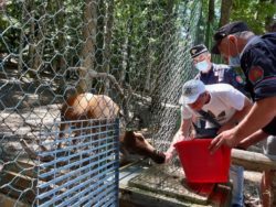 Riserva Naturale Orientata MaB Montedimezzo senza barriere - Reparto Carabinieri Biodiversità Isernia e Unione Italiana dei Ciechi e degli Ipovedenti - Molise (Molise)