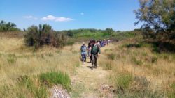 Escursione accessibile alla Riserva naturale Macchiatonda e visita guidata al Castello di Santa Severa in compagnia del “Disability Pride Network” - Riserva Naturale Macchiatonda, Ass. Il Paese che Vorrei (Lazio)