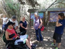 Escursione accessibile alla Riserva naturale Macchiatonda e visita guidata al Castello di Santa Severa in compagnia del “Disability Pride Network” - Riserva Naturale Macchiatonda, Ass. Il Paese che Vorrei (Lazio)