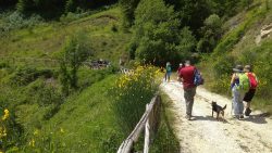 Collegiove e panoramico Piè Cervia senza barriere - Ass. Il Cammino Possibile e Il Cervia, Riserva Naturale Monte Navegna e Monte Cervia (Lazio)