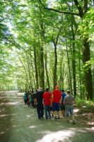 A spasso tra i boschi in sicurezza. Una passeggiata per tutti - Riserva Naturale Lago di Vico (Lazio)