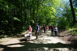 A spasso tra i boschi in sicurezza. Una passeggiata per tutti - Riserva Naturale Lago di Vico (Lazio)